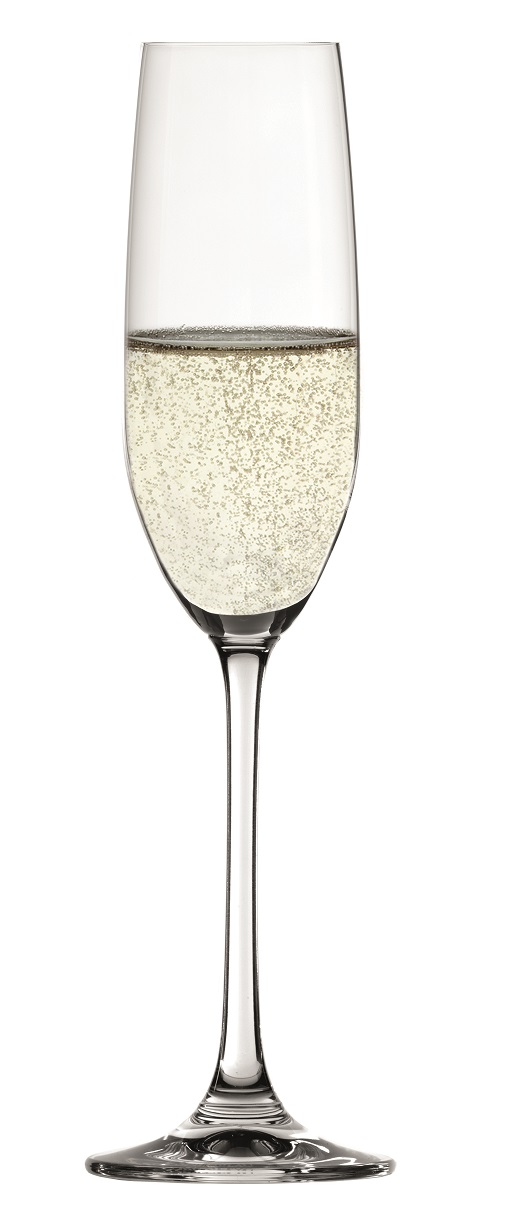 Spiegelau - SALUTE - Champagne Flute x12